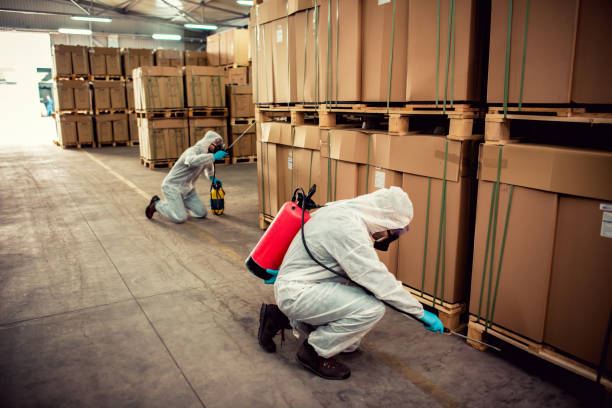 Best Ant Control Services  in Vincent, AL