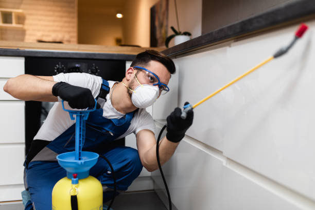 Best Ant Control Services  in Vincent, AL