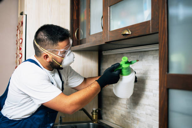 Best Pest Removal Services  in Vincent, AL