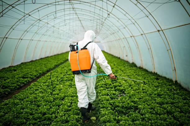 Best Mosquito Control Services  in Vincent, AL