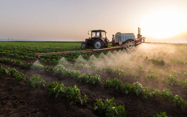 Best Commercial Pest Control Services  in Vincent, AL