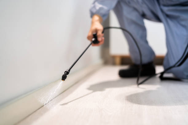 Professional Pest Control in Vincent, AL