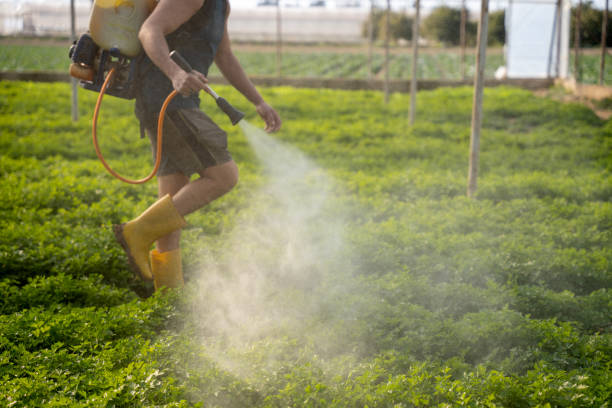 Best Pest Control Treatment  in Vincent, AL