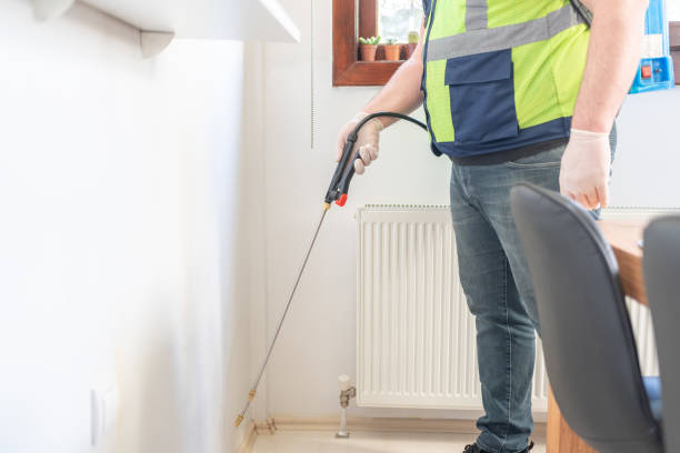 Best Wasp Removal Services  in Vincent, AL