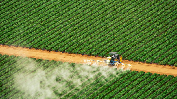 Best Pest Inspection Near Me  in Vincent, AL