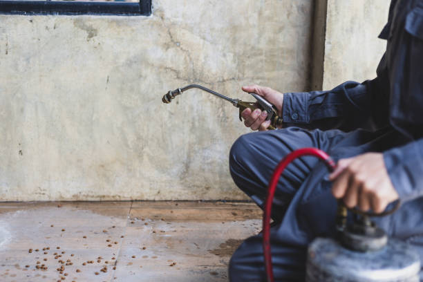 Best Best Pest Control Companies  in Vincent, AL
