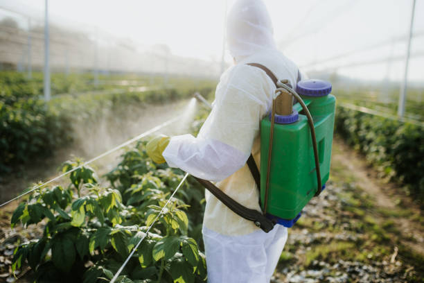 Best Pest Control for Homes  in Vincent, AL